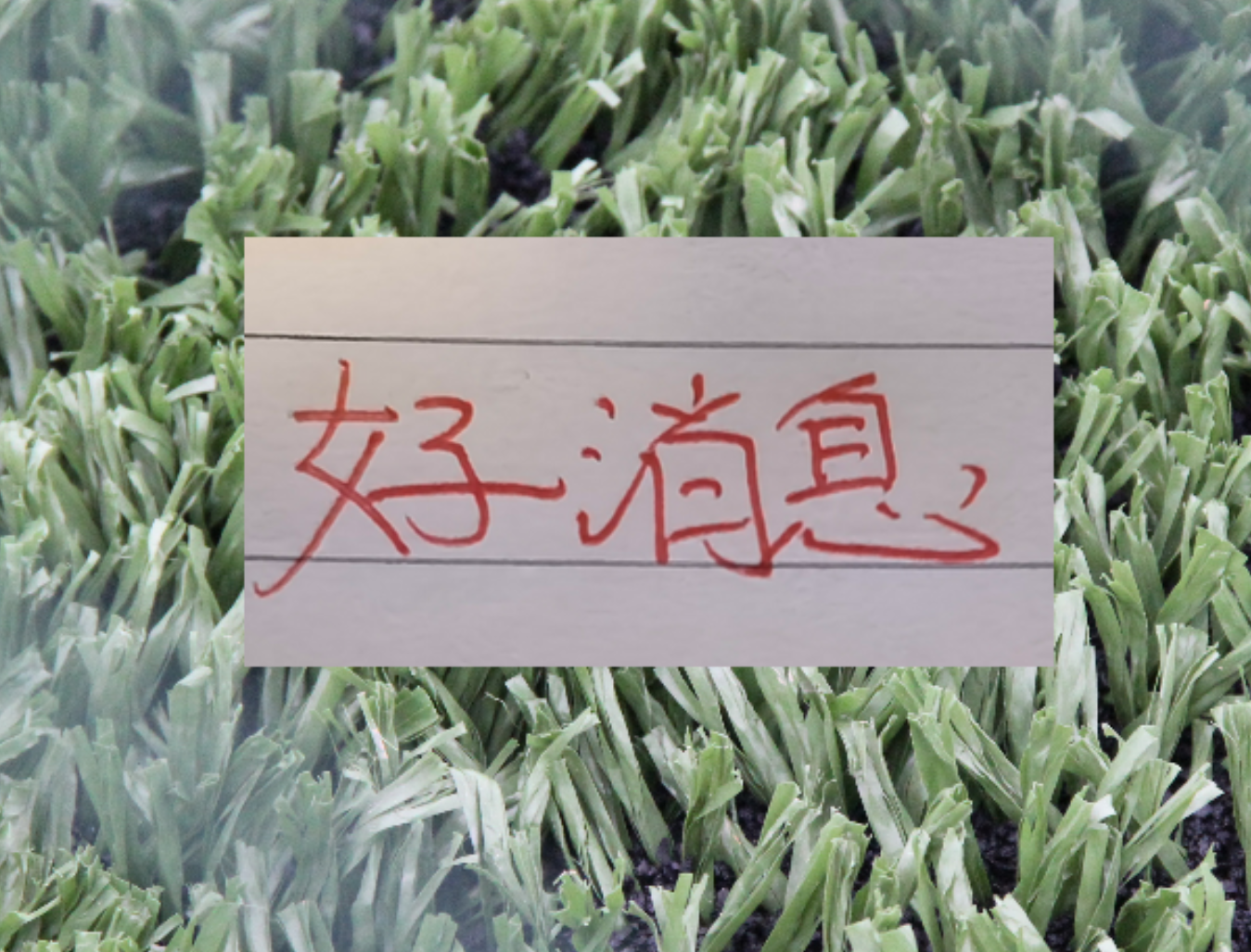 也是好消息！申花单场独造三球王牌 很有可能第四轮复出